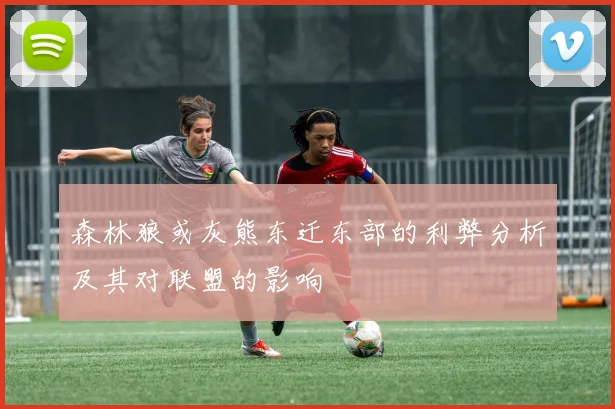 森林狼或灰熊东迁东部的利弊分析及其对联盟的影响